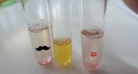 /album/%e2%99%a5-valoracion-del-metabolismo-%e2%99%a5/au-2-jpg/